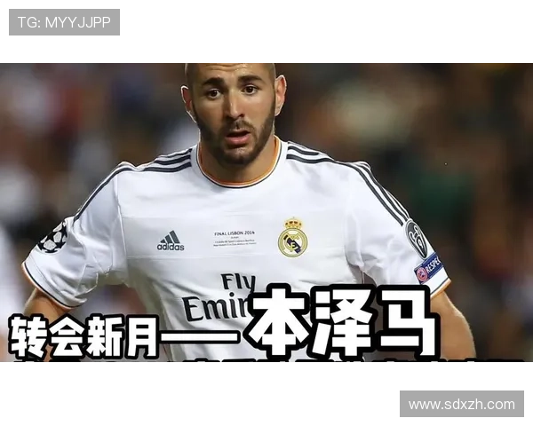 本泽马欧冠历史射手榜前列的历史地位再评估