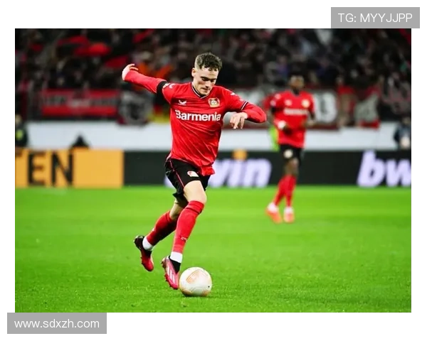 维尔茨德甲不败夺冠核心:生涯巅峰时刻解析