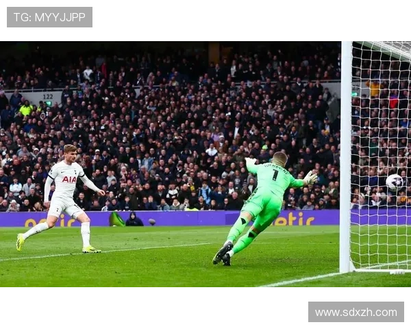 厄德高体系依赖与个人能力的战术适配差异如何体现