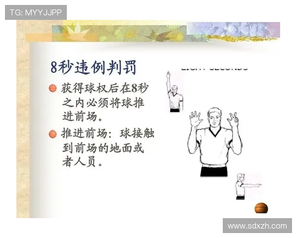 深入解读篮球规则中裁判判罚流程的环节与具体执行标准