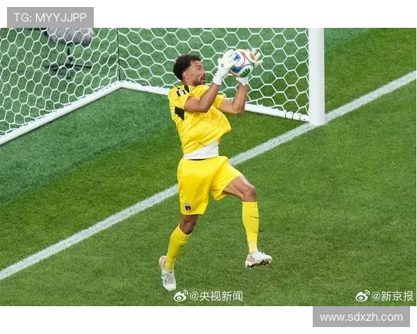 世界杯H组第二名确定:佛得角三连平历史性晋级 世界杯H组第二名确定:佛得角三连平历史性晋级